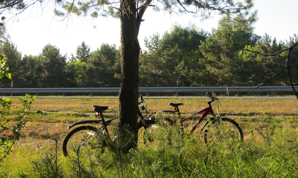 Интересный досуг и сплошная польза - езда на велосипеде