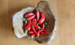 Полезные свойства жгучего перца | Блог Евгения Курашова